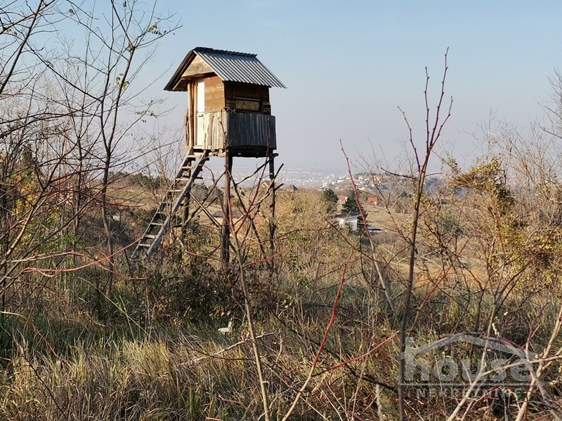 Plac,PETROVARADIN,ALIBEGOVAC13400m2,  276000€ , ID: 7080795 17