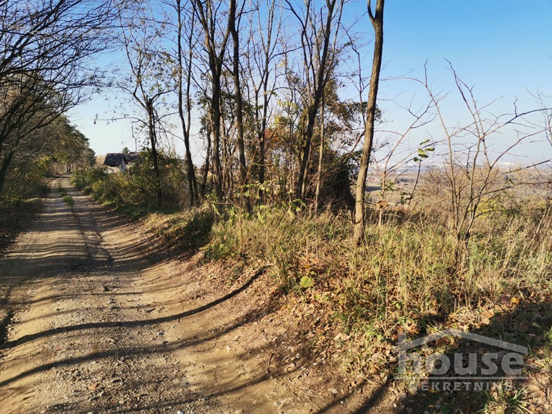 Plac,PETROVARADIN,ALIBEGOVAC13400m2,  276000€ , ID: 7080795 25