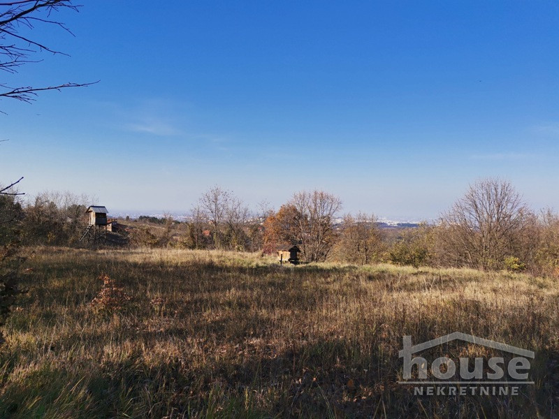 Plac,PETROVARADIN,ALIBEGOVAC13400m2,  276000€ , ID: 7080795 3