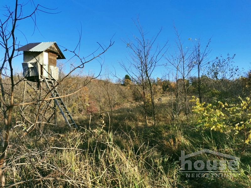 Plac,PETROVARADIN,ALIBEGOVAC13400m2,  276000€ , ID: 7080795 24