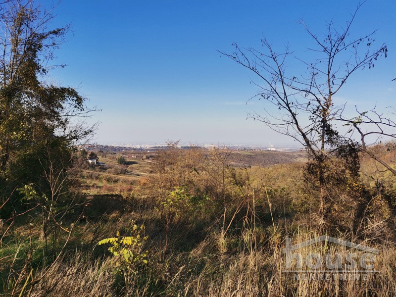 Plac,PETROVARADIN,ALIBEGOVAC13400m2,  276000€ , ID: 7080795 18