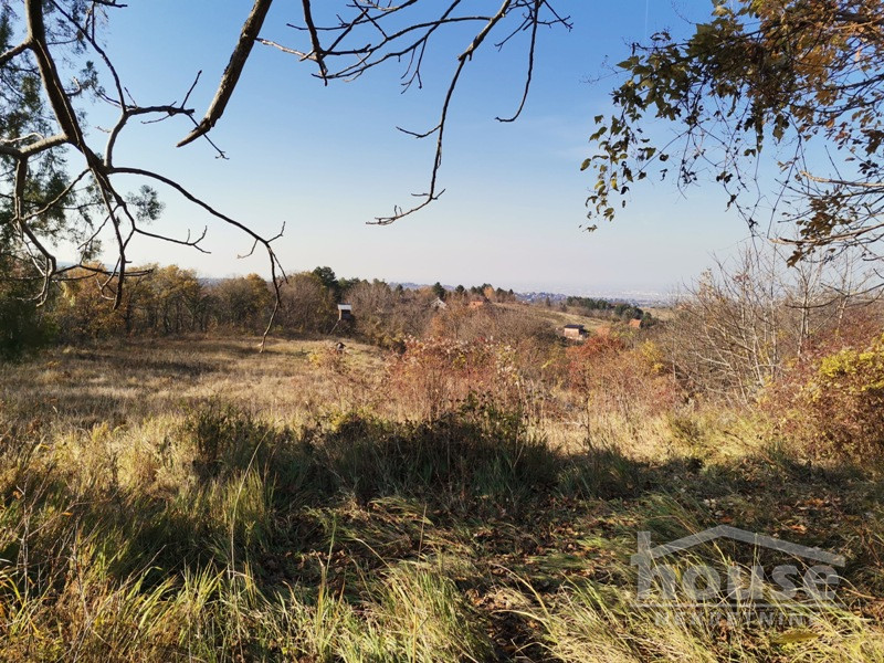 Plac,PETROVARADIN,ALIBEGOVAC13400m2,  276000€ , ID: 7080795 7