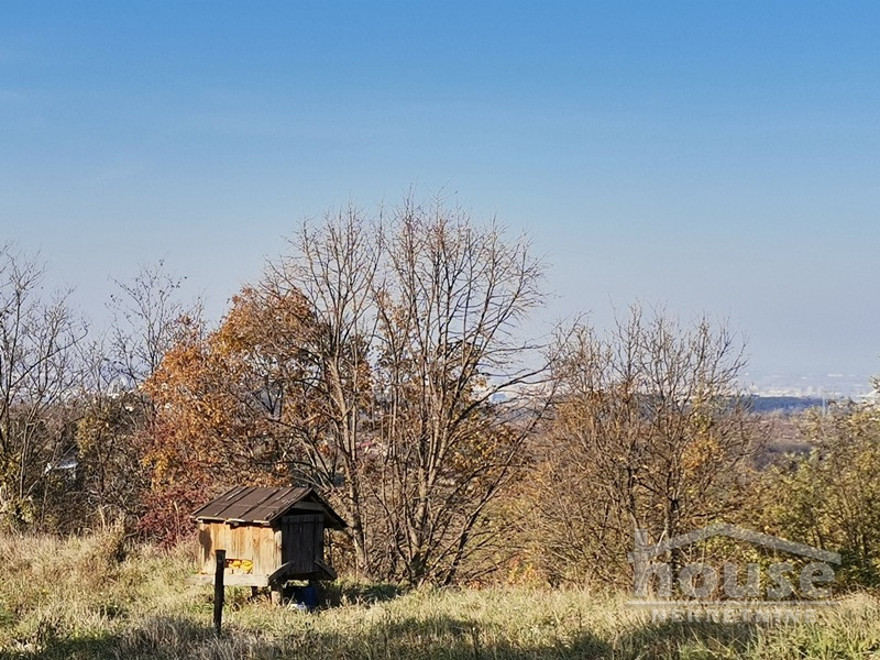 Plac,PETROVARADIN,ALIBEGOVAC13400m2,  276000€ , ID: 7080795 11