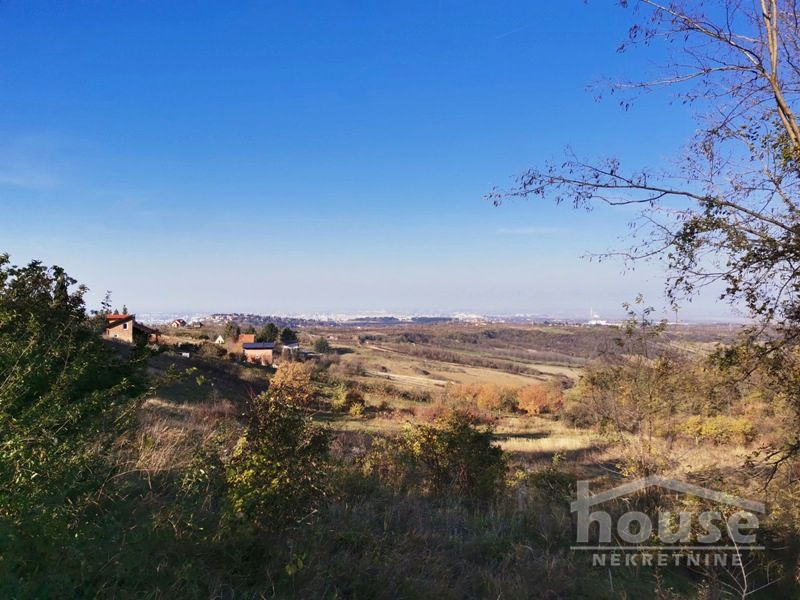 Plac,PETROVARADIN,ALIBEGOVAC13400m2,  276000€ , ID: 7080795 5