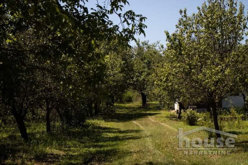 Kuca,BAČKO GRADIŠTE,BAČKO GRADIŠTE39m2,32000€ , ID: 3045831 14