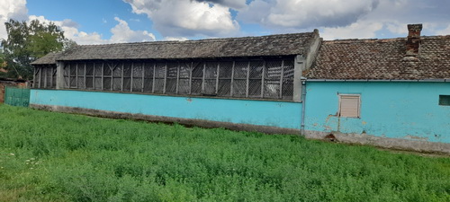 Prodajem kucu u centru Barande 150m2 na 12 ari placa 4