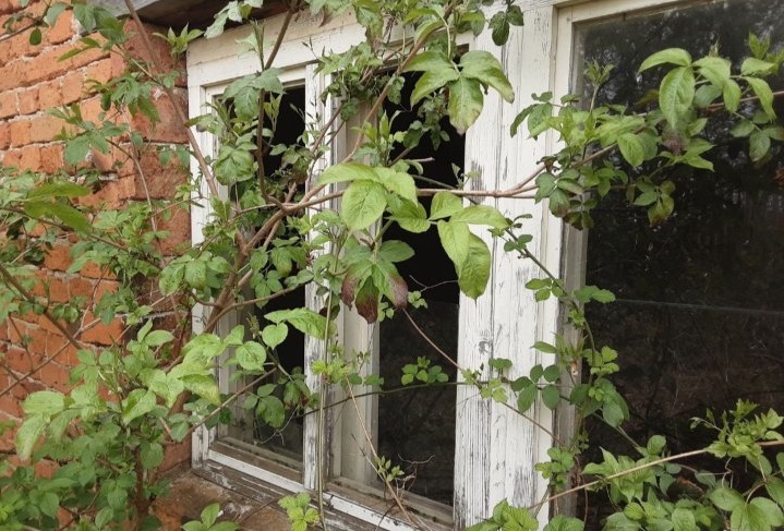 Staro porodicno imanje Melnica Petrovac na Mlavi 2