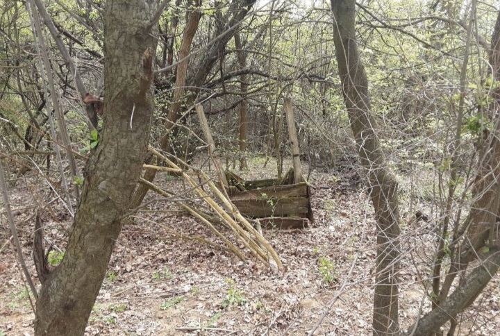 Staro porodicno imanje Melnica Petrovac na Mlavi 5