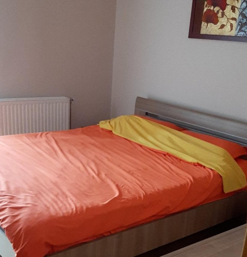 Uknjižen komforan dvosoban stan   062 792 583 2