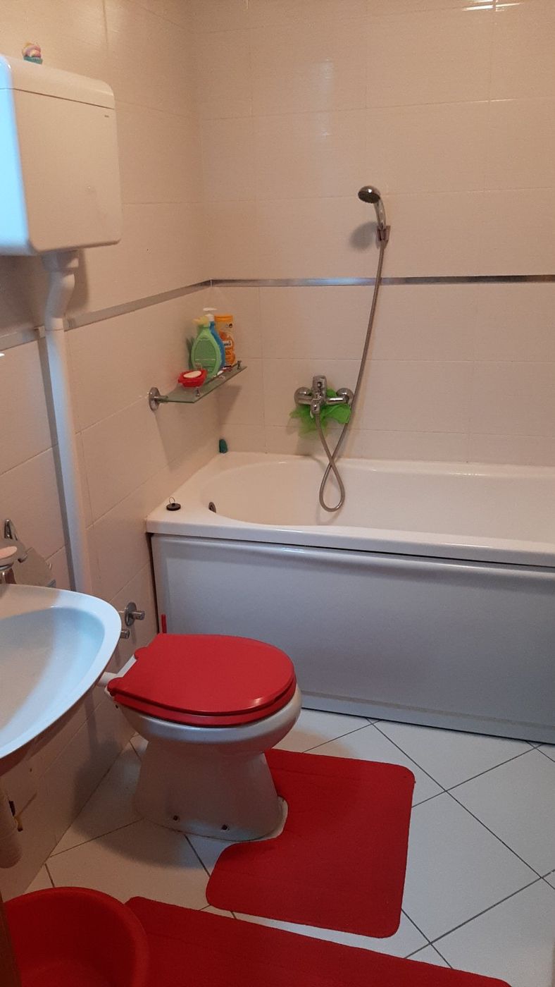 Uknjižen komforan dvosoban stan   062 792 583 5