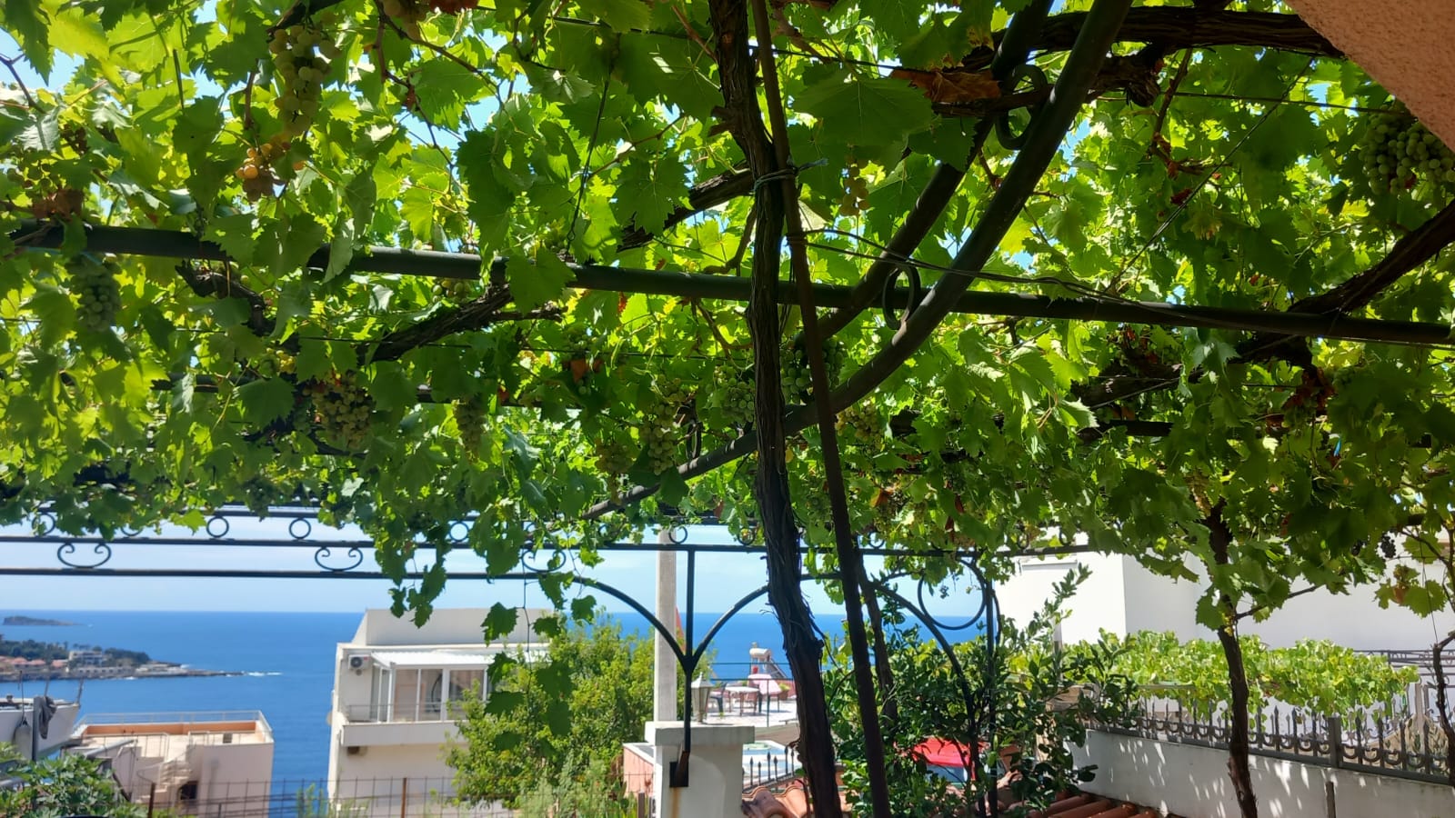 Dobre Vode  150m od mora 1