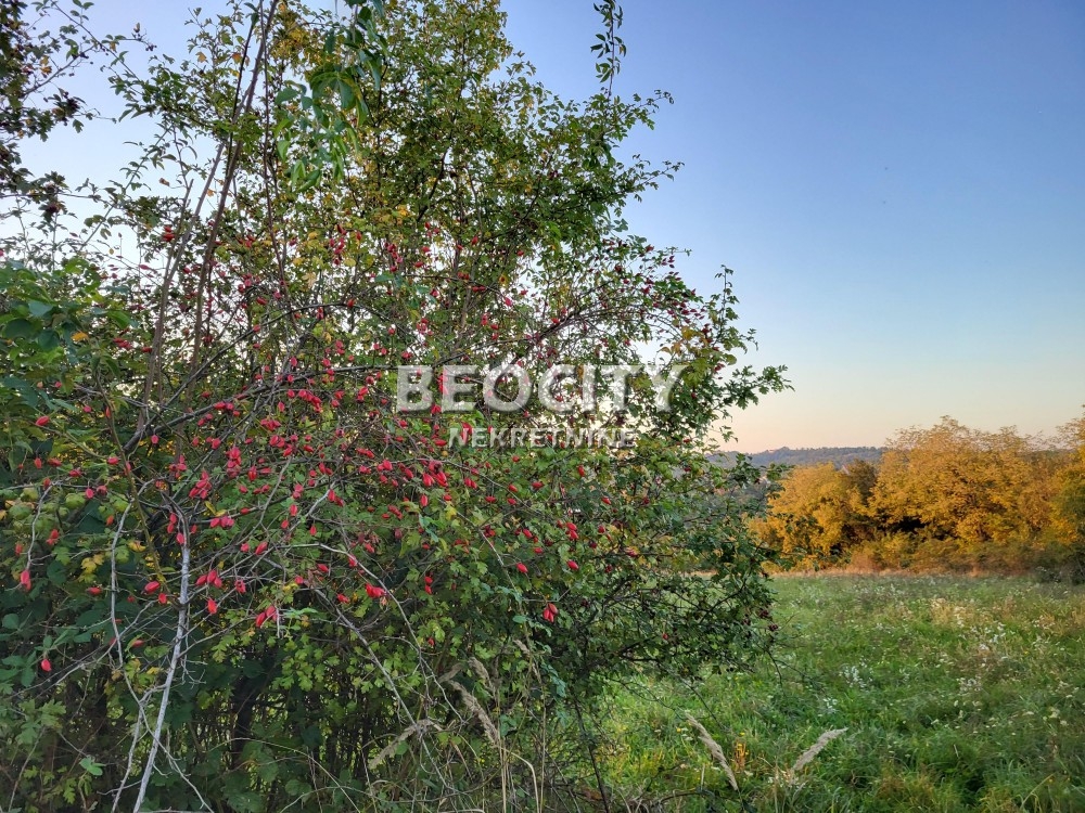 Plac, Barajevo, Glumcevo brdo ID: 100930 11