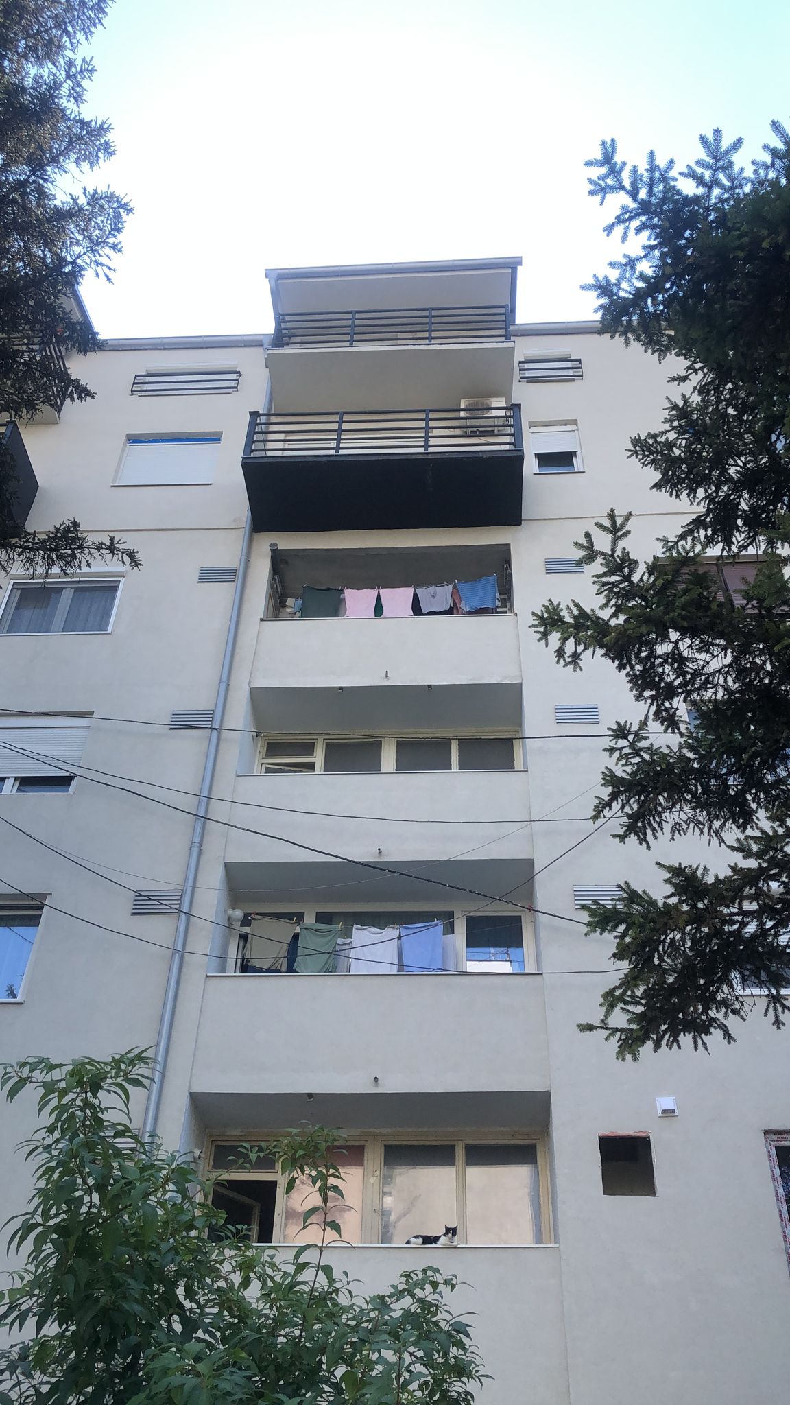 Izdajem stan u Cacku 40 qm 4