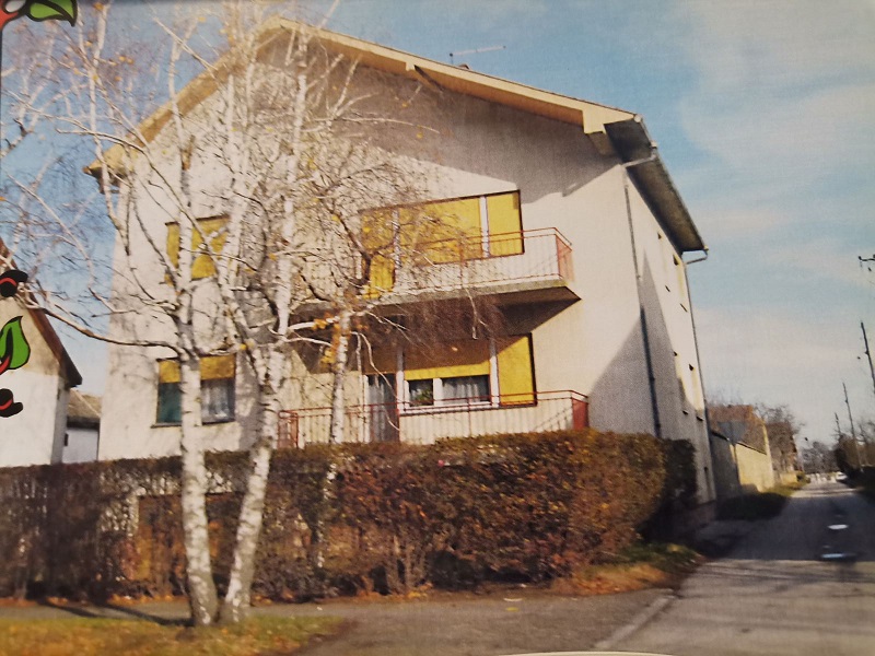 Prodajem visespratnu porodicnu kucu u Novim Karlovcima Indjija 1