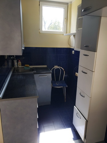 Izdajem kuću sa dvorištem  Zemun  Mozerova 30 2