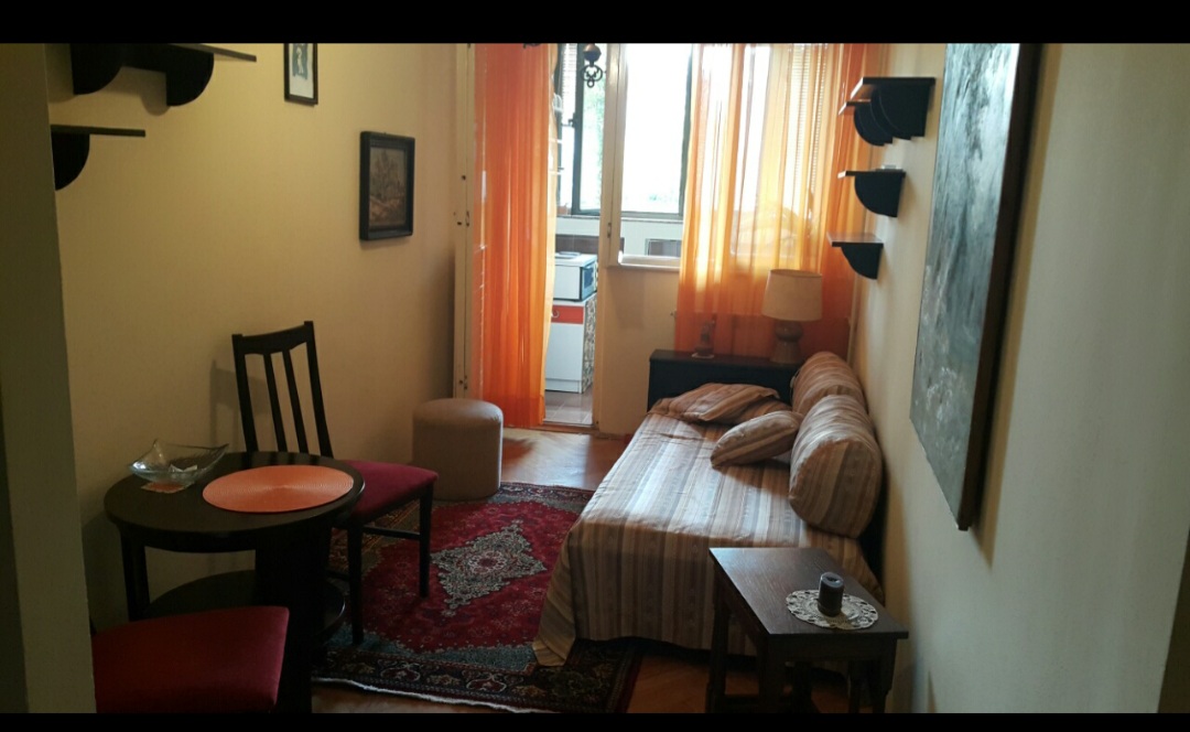 Vračar kod Vuka izdajem stan 45m2 vlasnik 4