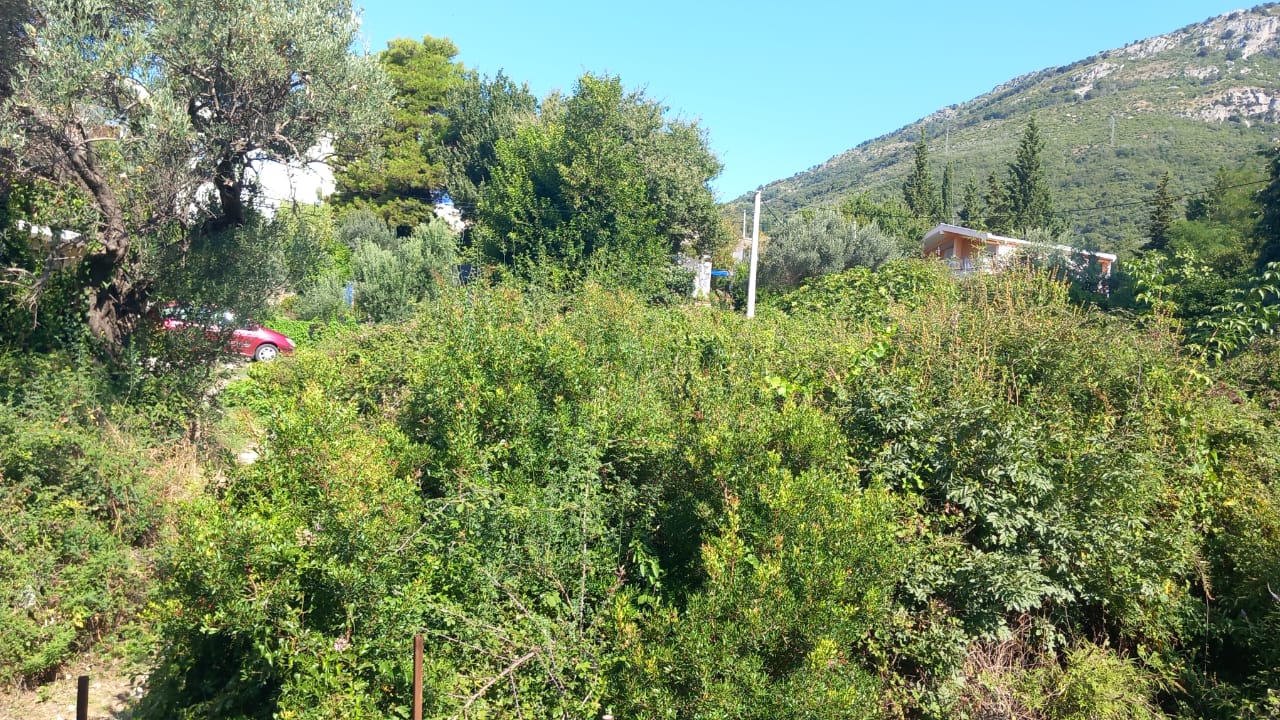 Bar  Šušanj  plac 500m od plaže 5