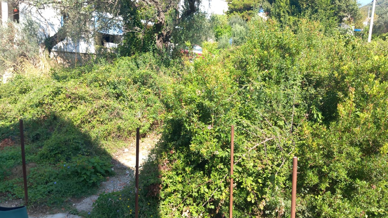 Bar  Šušanj  plac 500m od plaže 4