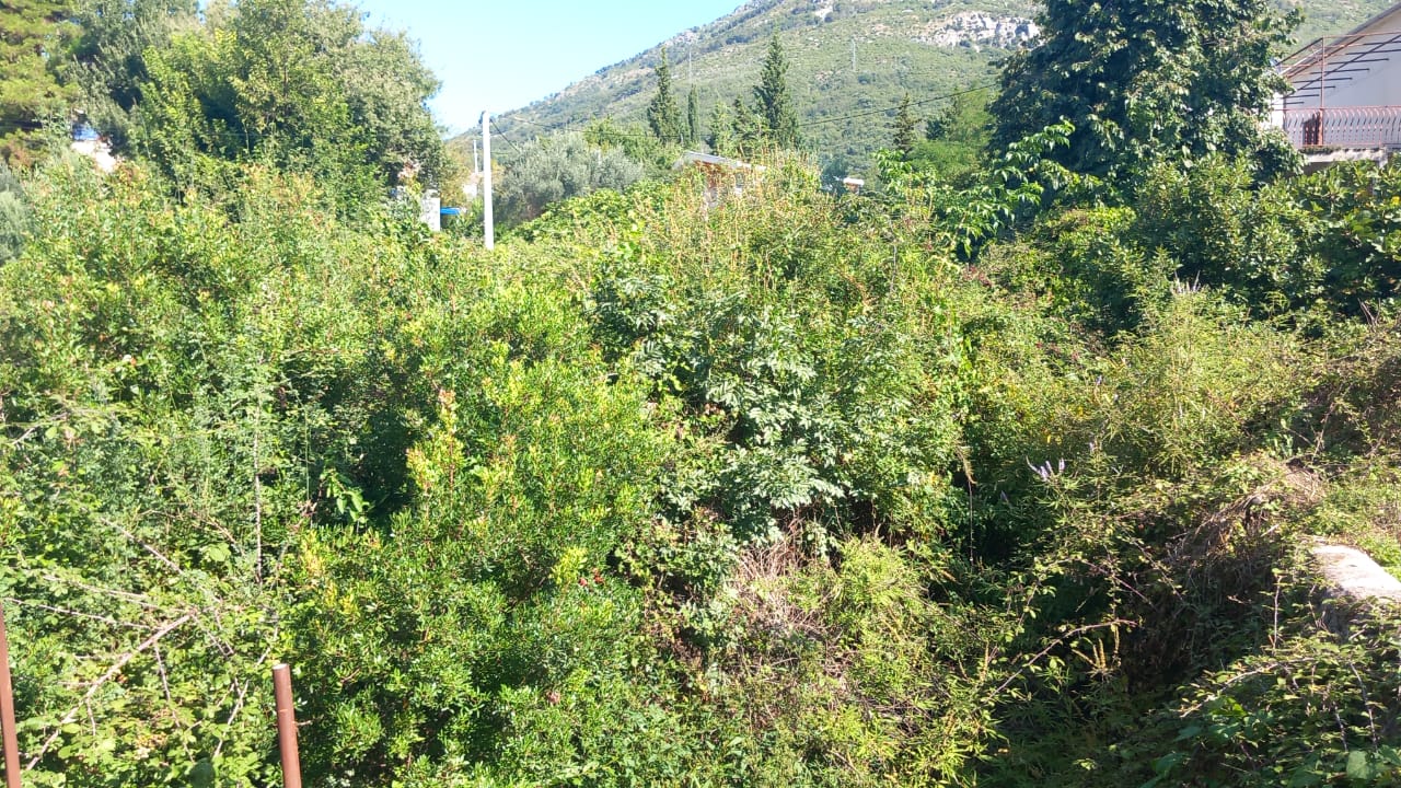 Bar  Šušanj  plac 500m od plaže 2