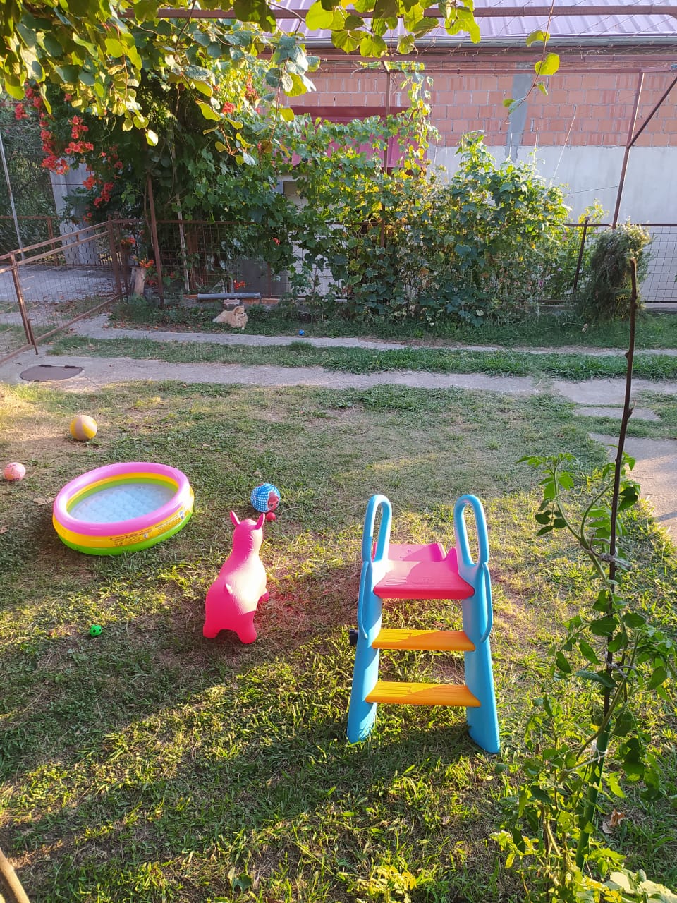 Sutomore  vertikala kuće 2