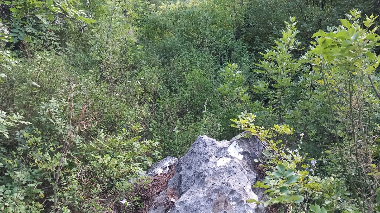 Sutomore  plac sa pogledom  povoljno 4