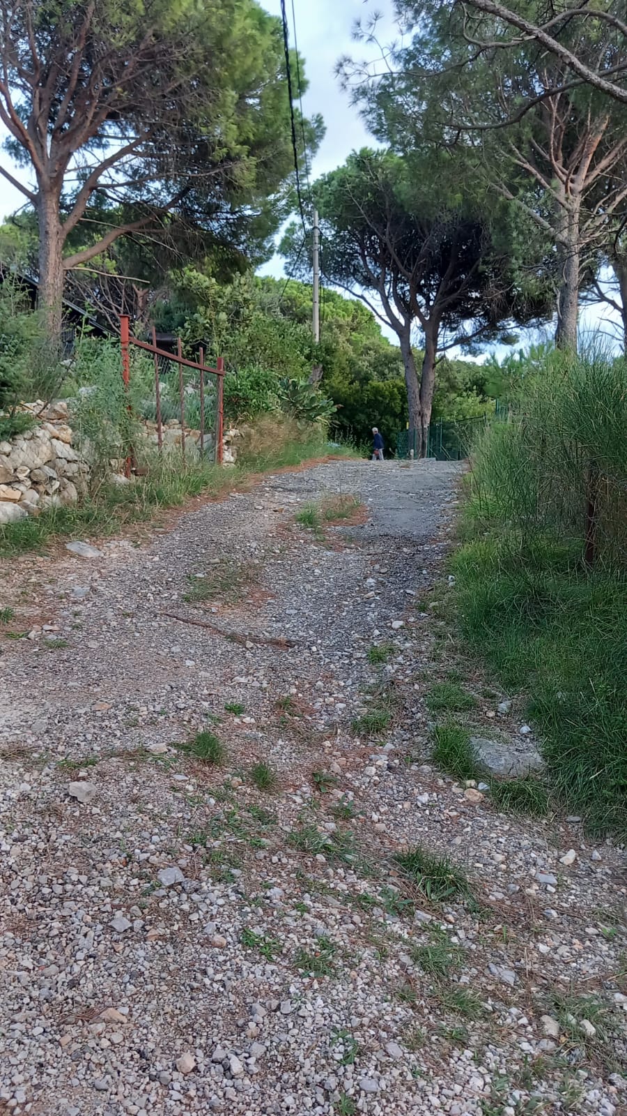 Sutomore  plac sa pogledom  povoljno 2