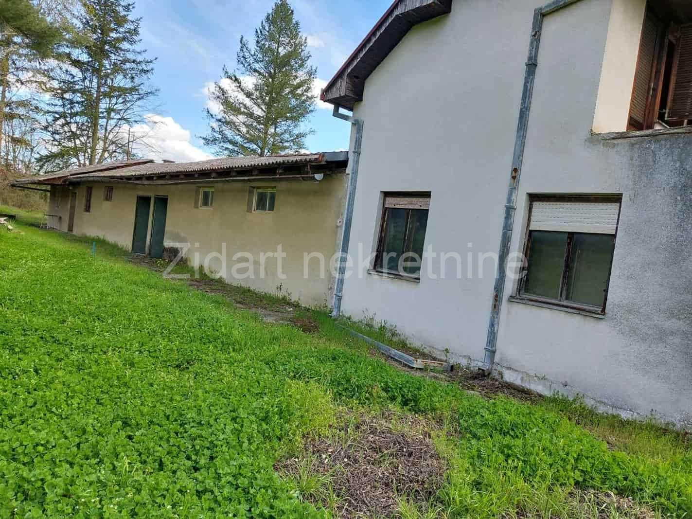 Veliki Borak, prodaja prizemne kuće na prostranom placu 3
