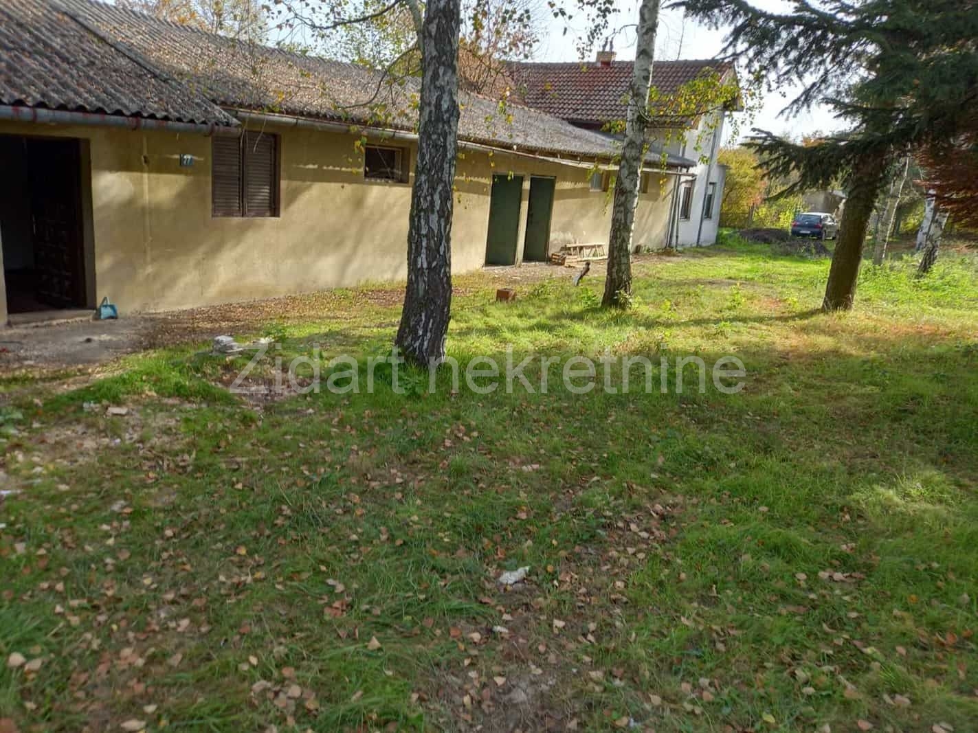 Veliki Borak, prodaja prizemne kuće na prostranom placu 8