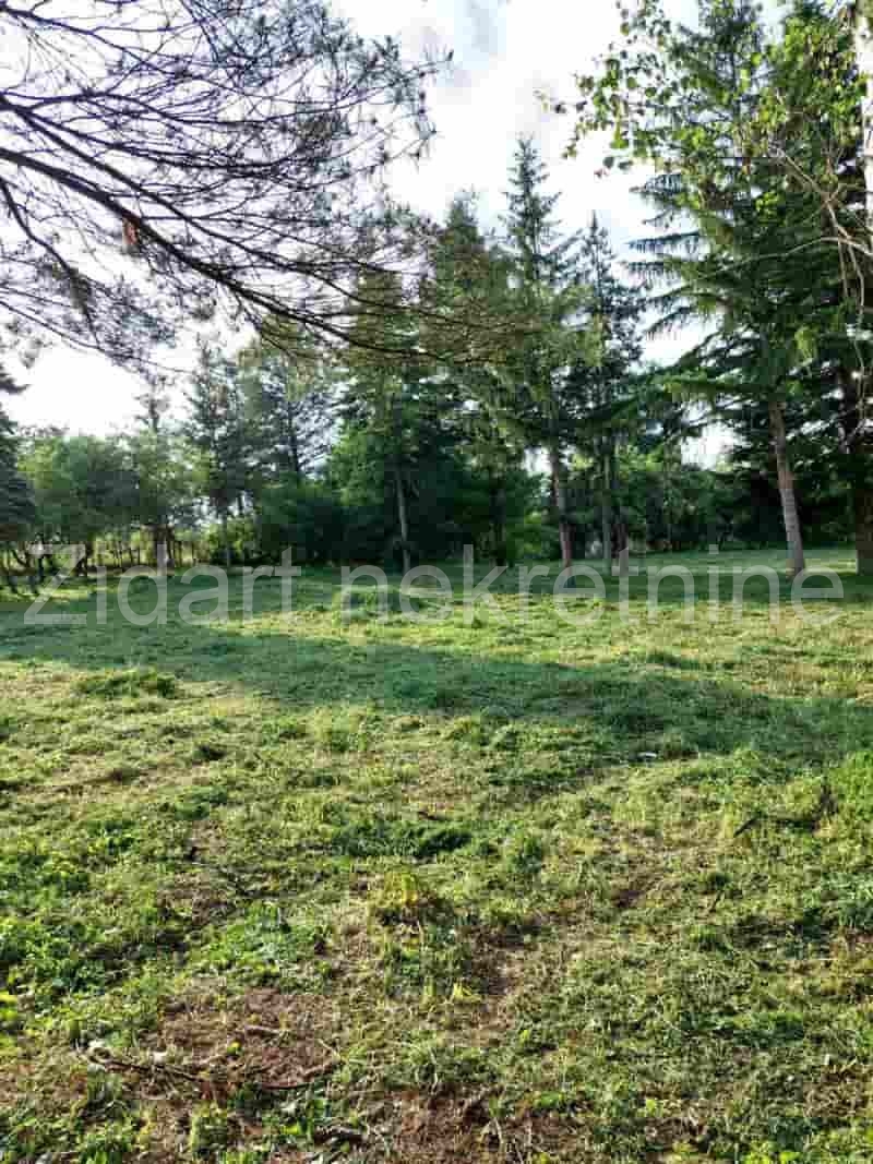 Veliki Borak, prodaja prizemne kuće na prostranom placu 9
