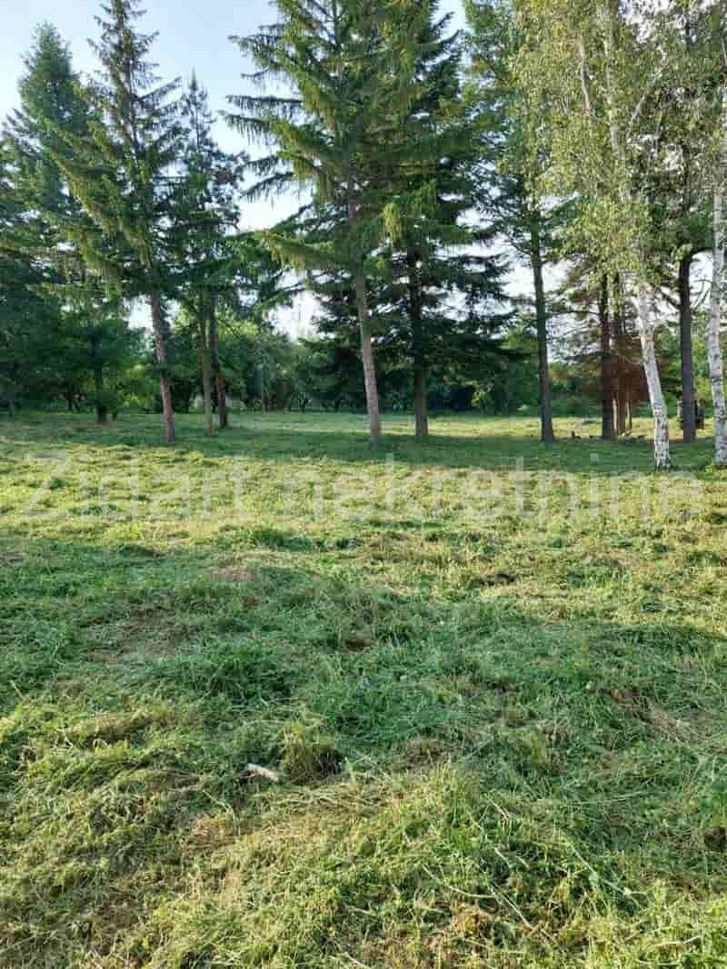 Veliki Borak, prodaja prizemne kuće na prostranom placu 11