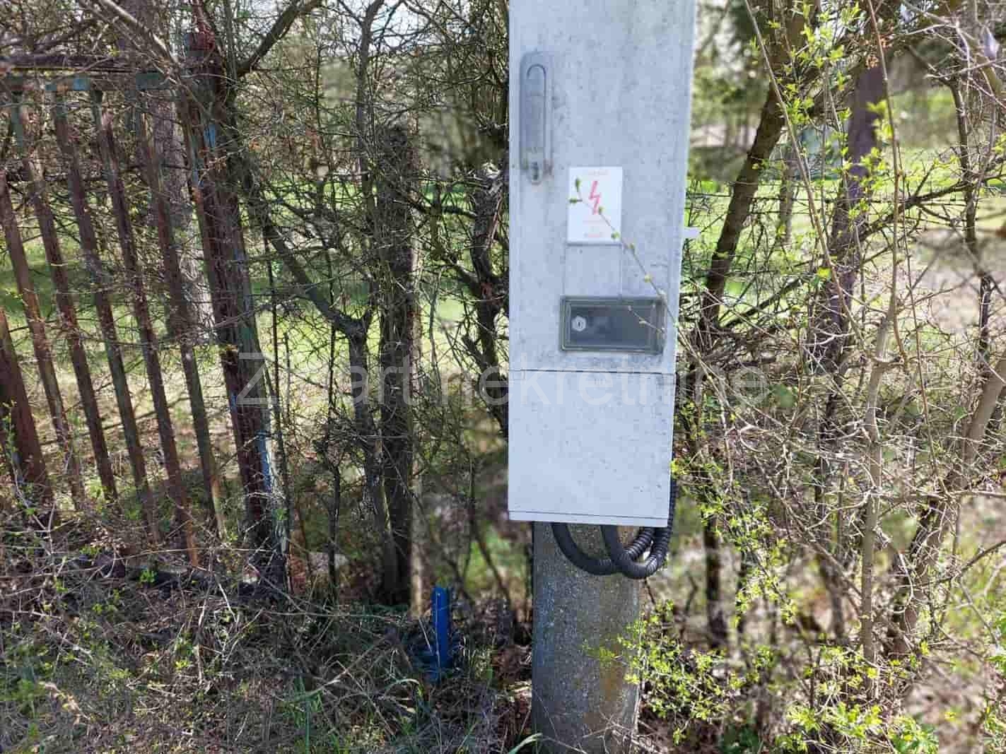 Veliki Borak, prodaja prizemne kuće na prostranom placu 14
