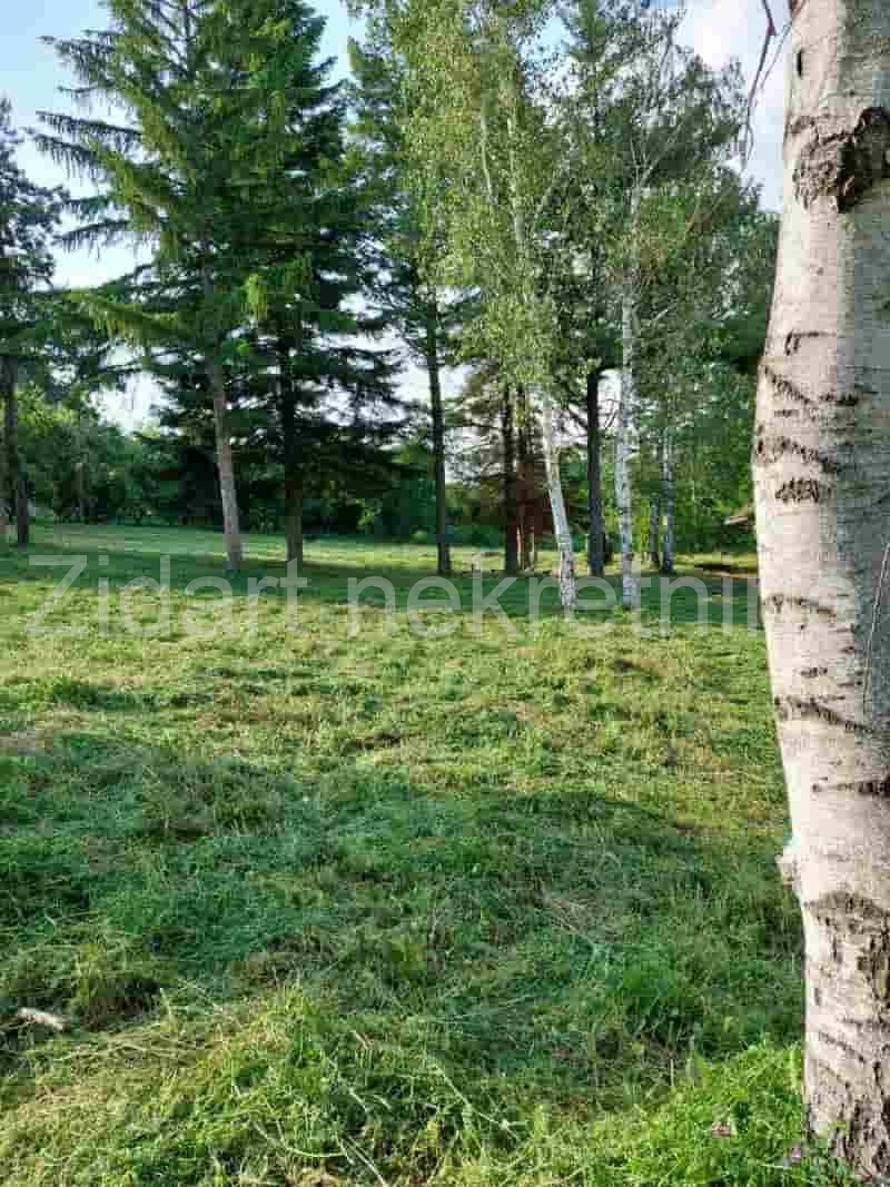 Veliki Borak, prodaja prizemne kuće na prostranom placu 10