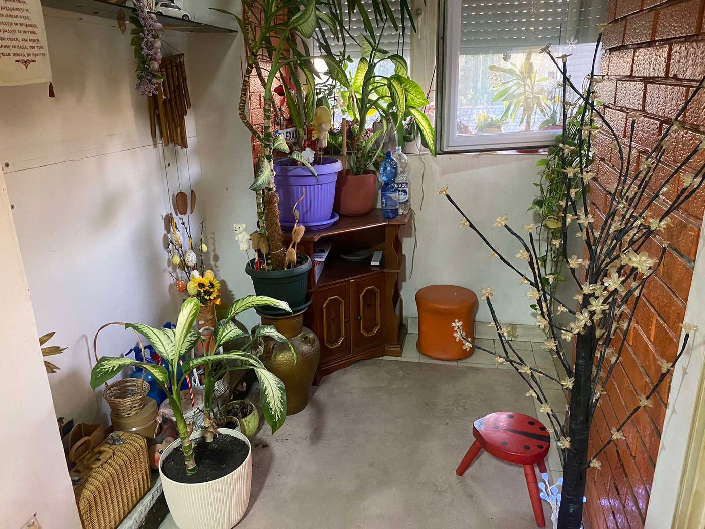 Uknjižen četvorosoban stan u jednoj etaži   može kredit   062 792 583 5