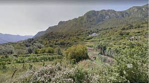 Bar  Gluhi Do  više parcela 1