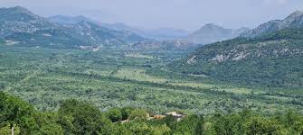 Bar  Gluhi Do  više parcela 3