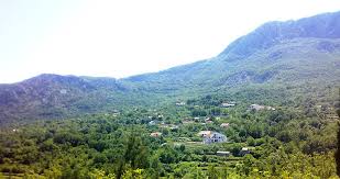 Bar  Gluhi Do  više parcela 4