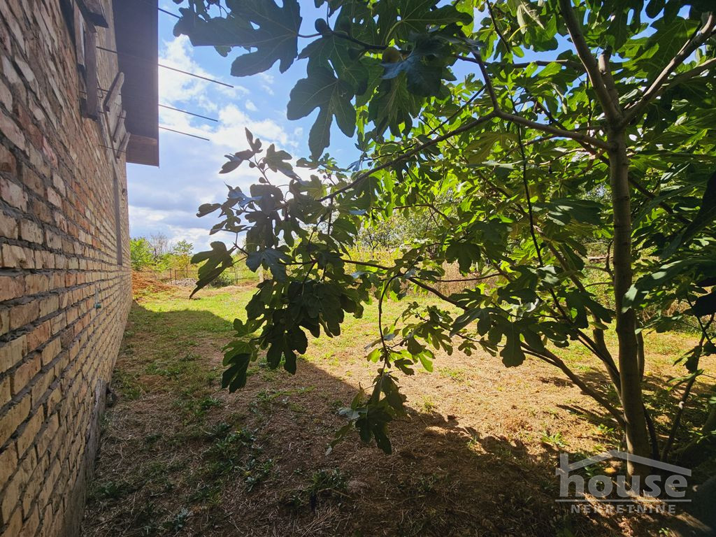 Kuca,PETROVARADIN,MIŠELUK256m2,198800€ , ID: 3045856 7