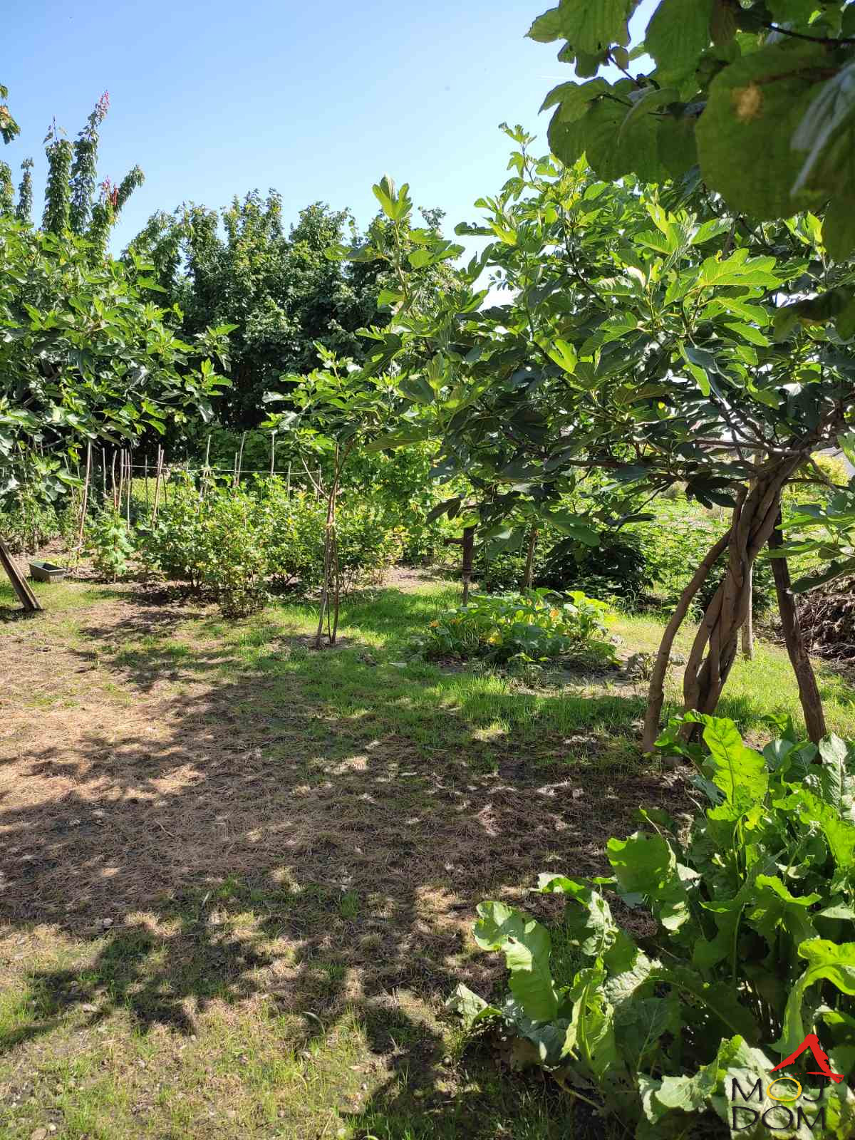 Kuca,FUTOG,FUTOG,kv: 122, € 416000, ID: 3003542 5