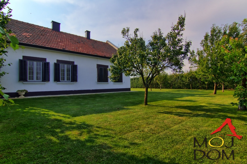 Kuca,FUTOG,FUTOG,kv: 150, € 257500, ID: 3003560 8