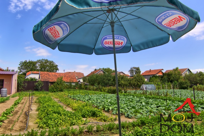 Kuca,FUTOG,FUTOG,kv: 230, € 463500, ID: 3003489 10