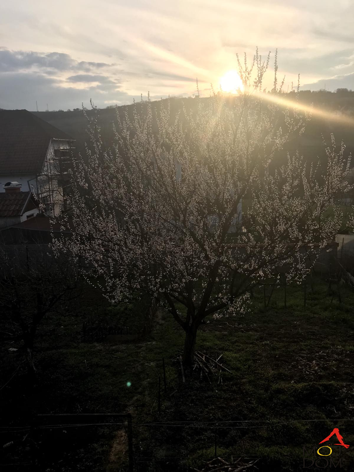 Kuca,SREMSKI KARLOVCI,SREMSKI KARLOVCI,kv: 99, € 154500, ID: 3001257 14