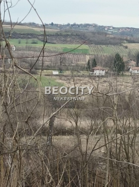 Plac, Sopot, Koviona Trešnja ID: 102406 3