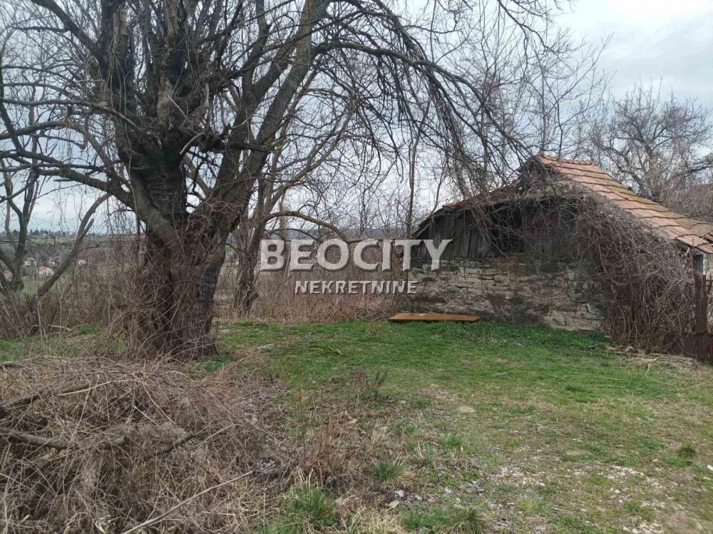 Plac, Sopot, Koviona Trešnja ID: 102406 1