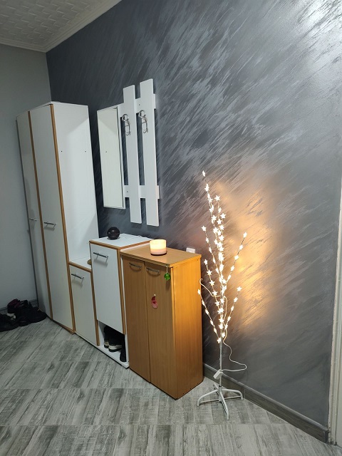 Prodajem kucu u Beocinu 3