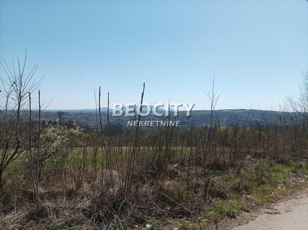 Plac, Sopot, Koviona Trešnja ID: 102602 1