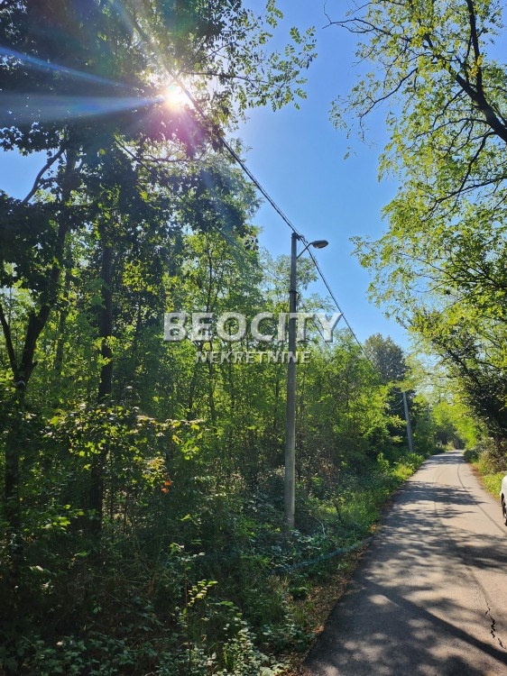 Plac, Konatice, Puzevac ID: 102615 10