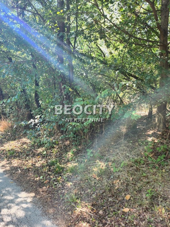 Plac, Konatice, Puzevac ID: 102615 5