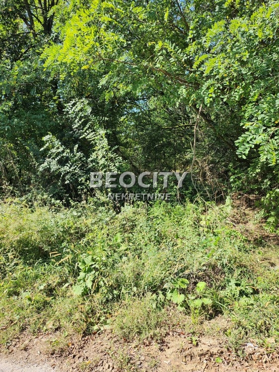 Plac, Konatice, Puzevac ID: 102615 6