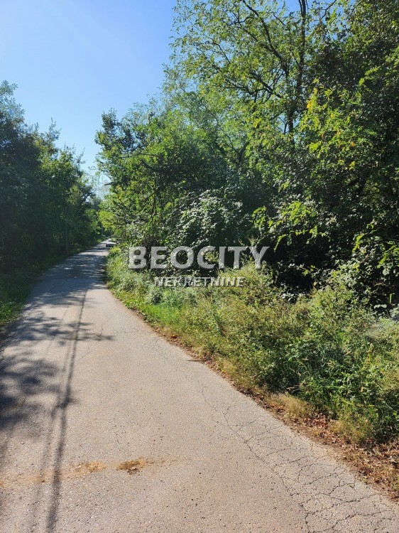 Plac, Konatice, Puzevac ID: 102615 7