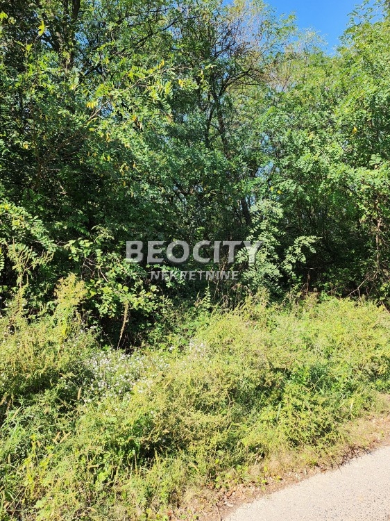 Plac, Konatice, Puzevac ID: 102615 8